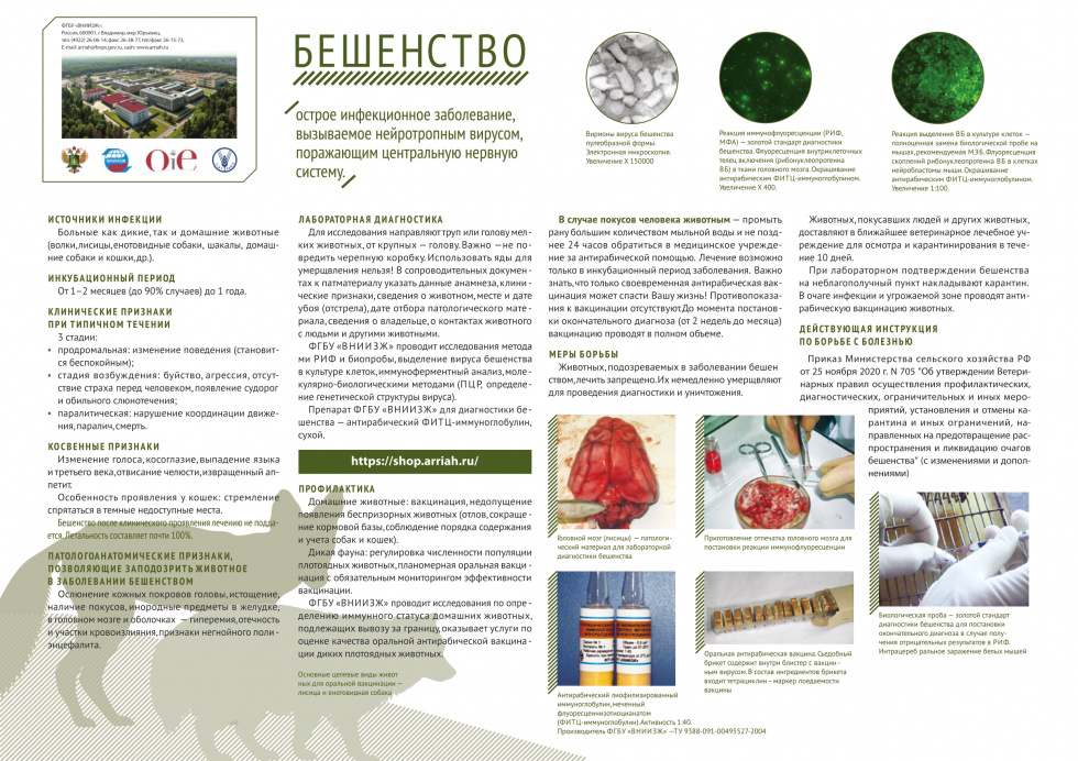 Информация про бешенство
