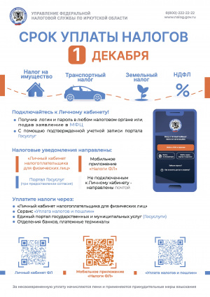 Срок уплаты налогов - 1 декабря!