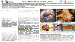 Чума мелких жвачных (ЧМЖ)