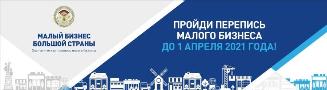 Статистическое наблюдение за деятельностью субъектов малого и среднего предпринимательства за 2020 год  