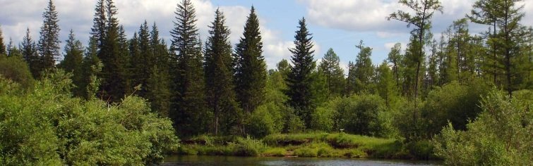 Природа родного края