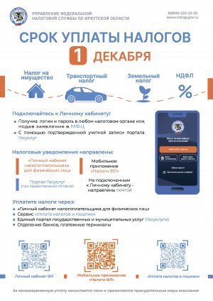 Срок уплаты налогов